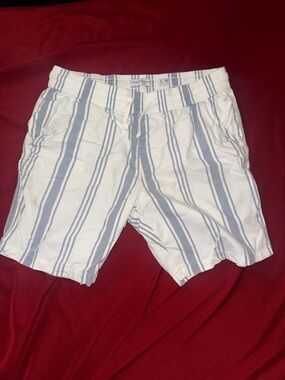 Denim & Flower White and Light Blue Striped Drawstring Athletic Shorts